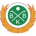 بودين