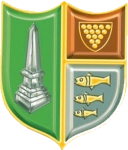 بودمين تاون