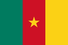 الكاميرون
