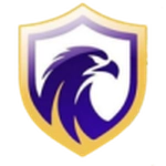 فالكون  عامًا