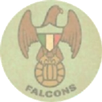 تورونتو فالكونز