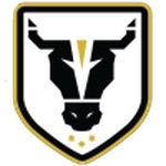 بولز أكاديمي