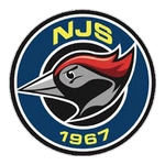 إن جي إس الثالث