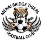 ميناي بريدج تايغرز