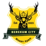 بريكوم سيتي