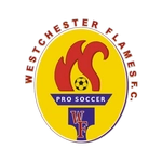 ويستشستر فليمز