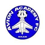 أفين أكاديمي