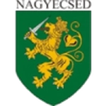 ناجيكيدش آر إس إي