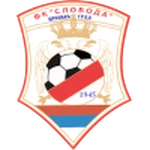 سلوبودا مركونيتش غراد